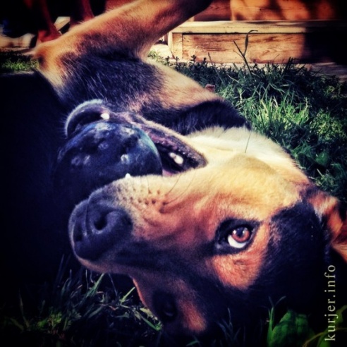 Фотоокна. 14 ноября 2013