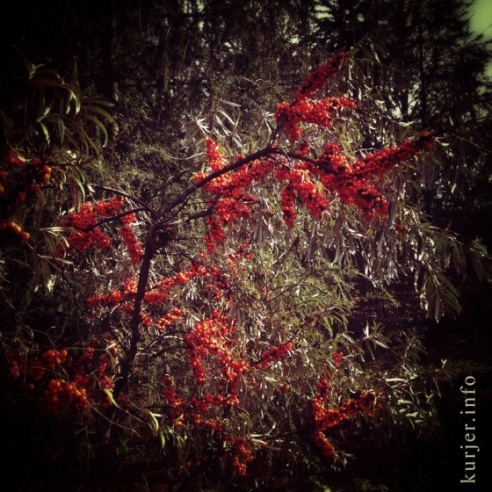 Фотоокна. 14 ноября 2013