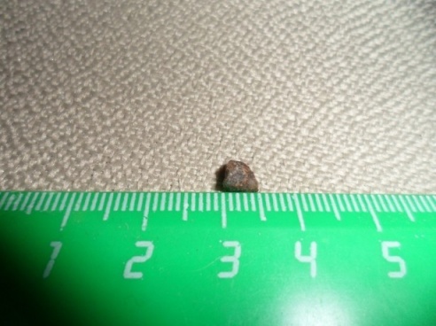 Житель Светлогорска нашел в булочке из «Евроопта» камешек вместо изюма