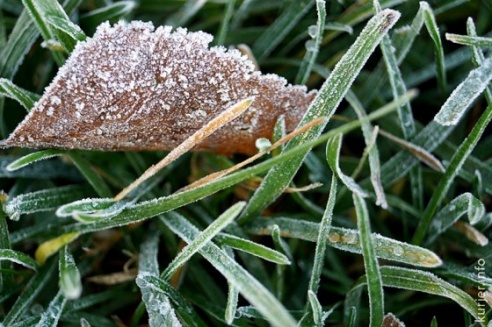 Фотоокна. 18 ноября 2013