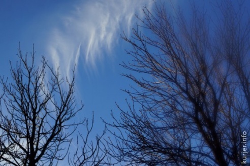 Фотоокна. 18 ноября 2013