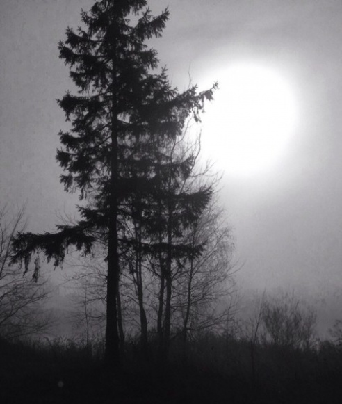 Фотоокна. 18 ноября 2013