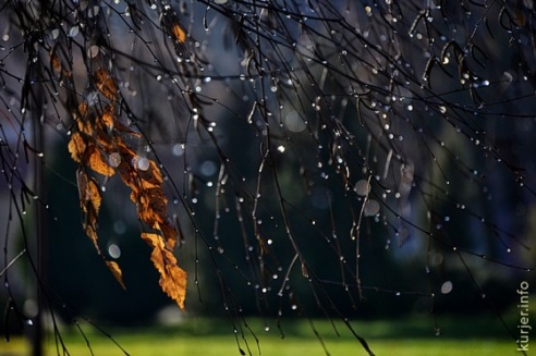 Фотоокна. 18 ноября 2013