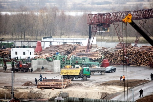Студентов привлекли к уборке ДОКа в Мозыре (фото)