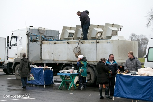 Рыбный день в Волковыске