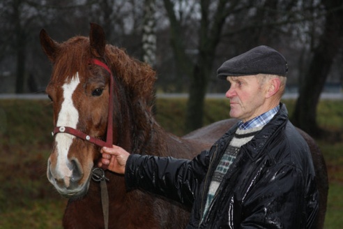 В Рогачевском районе пенсионеру вернули коня, украденного 4 года назад (фото)