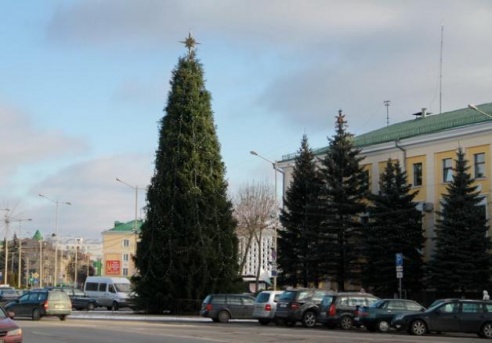 В латвийской Елгаве установили барановичскую елку