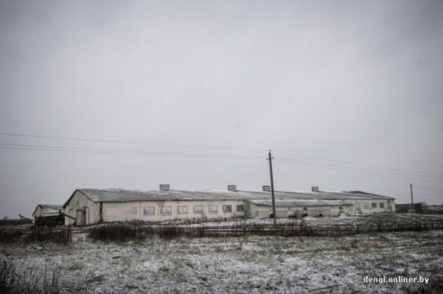 Распределение без прикрас: зарплата $300, дом без отопления и думы о будущем молодого специалиста