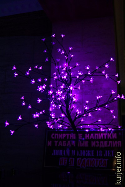 В Слуцке открылось кафе «Колизей». Здесь предлагается итальянская кухня В Слуцке открылось кафе «Колизей». Здесь предлагается итальянская кухня