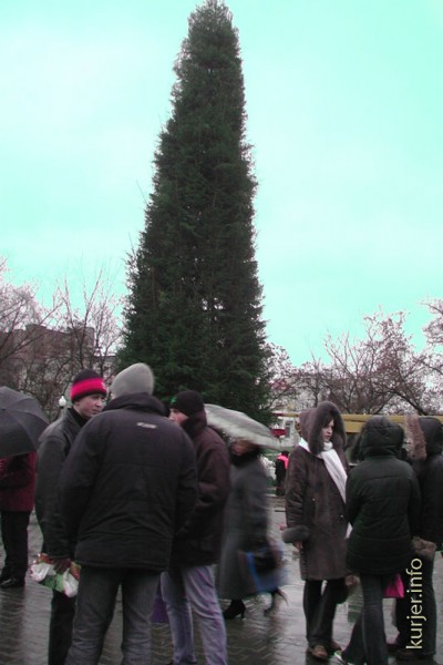 Праздничные ёлки и новогодняя погода последних 10 лет в Слуцке Праздничные ёлки и новогодняя погода последних 10 лет в Слуцке