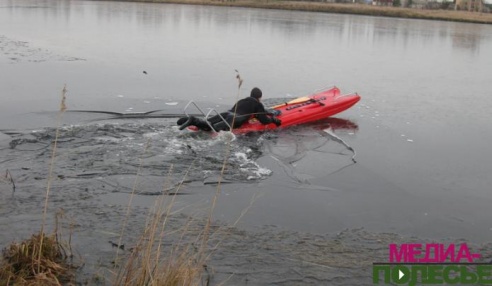 Лунинецкие спасатели не дали погибнуть лебедю на замёрзшем пруду