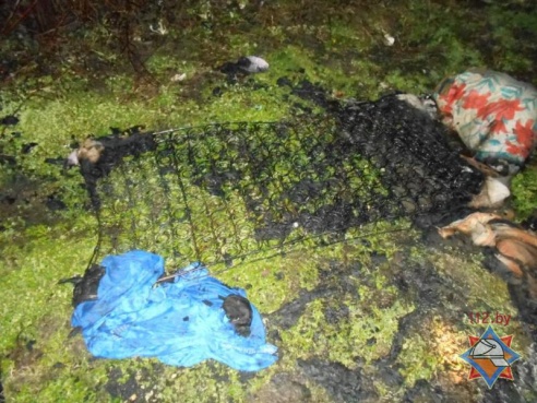 В Калинковичском районе на пожаре погиб мужчина (фото)