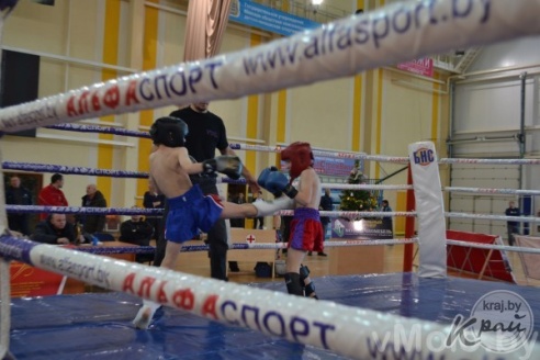 Кубок Деда Мороза (+фото)