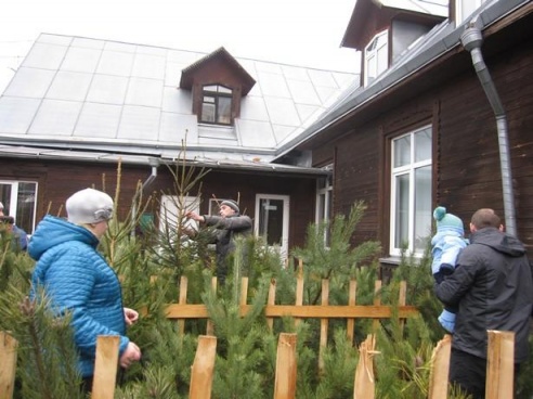 В Барановичах открылись елочные базары