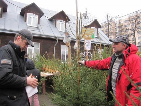 В Барановичах открылись елочные базары