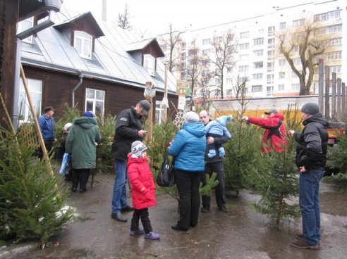 В Барановичах открылись елочные базары
