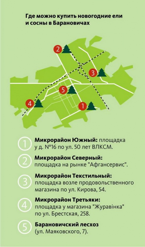 Где купить елку к Новому году в Барановичах