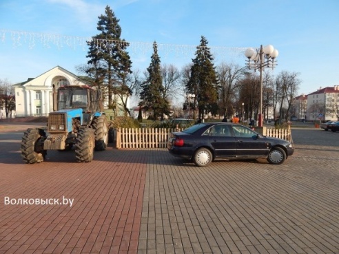 В Волковыске открылись елочные базары