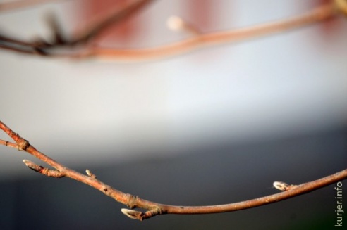 Фотофакт: Слуцк, 22 декабря, весна