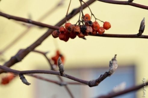 Фотофакт: Слуцк, 22 декабря, весна