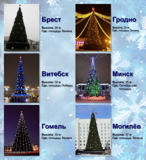 Могилёвская ёлка получилась самой высокой в Беларуси