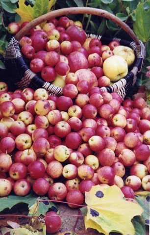 “Я нарэшце адчула сябе запатрабаванай”