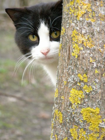 “Я нарэшце адчула сябе запатрабаванай”