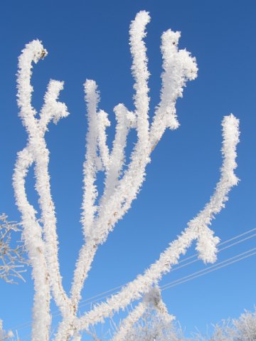 “Я нарэшце адчула сябе запатрабаванай”