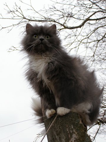 “Я нарэшце адчула сябе запатрабаванай”