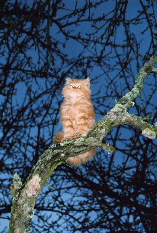 “Я нарэшце адчула сябе запатрабаванай”