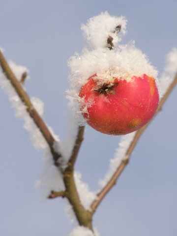 “Я нарэшце адчула сябе запатрабаванай”