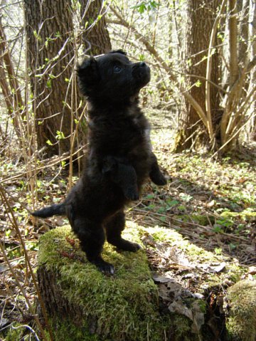 “Я нарэшце адчула сябе запатрабаванай”