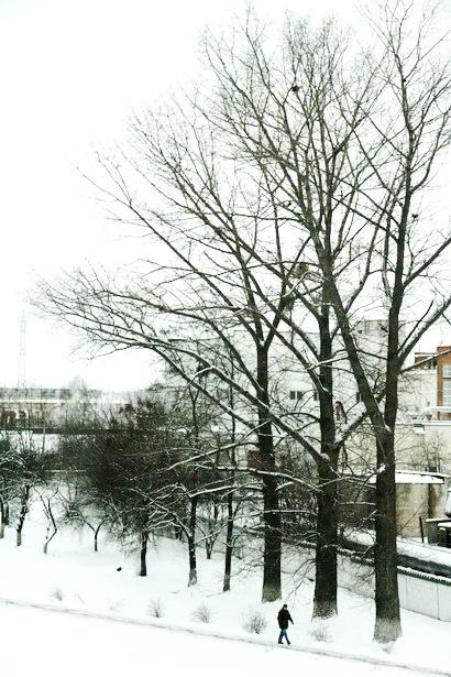 Барановичи накрыло снегом