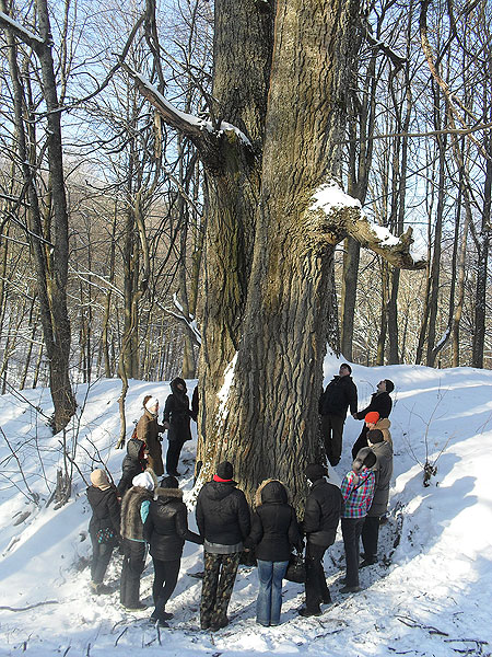 Тур-санация «Тайны живой воды» получил первое «крещение» на Крещение