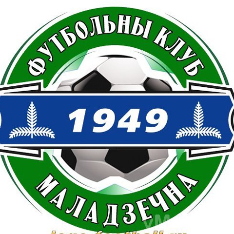 Начинается голосование за новую эмблему ФК «Молодечно»