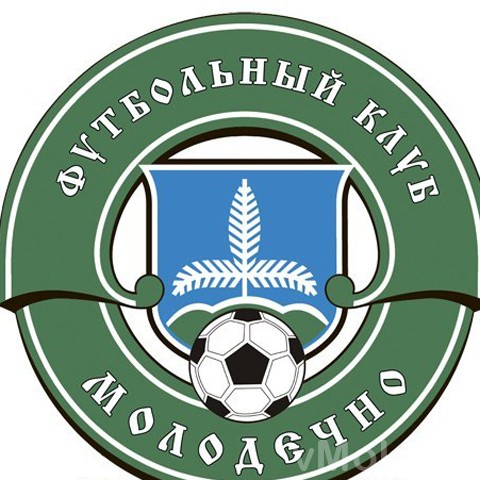 Начинается голосование за новую эмблему ФК «Молодечно»