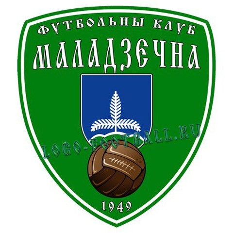 Начинается голосование за новую эмблему ФК «Молодечно»