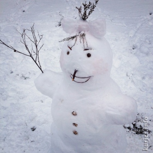 Фотохроника декабря—2013. Слуцк