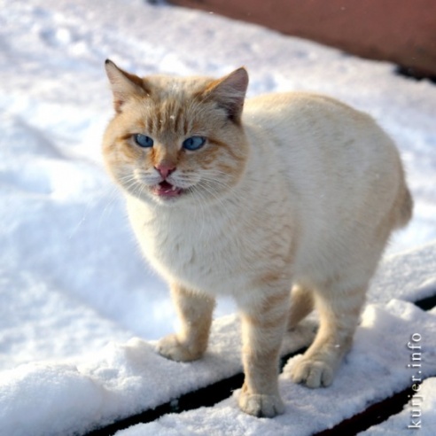 Фотохроника декабря—2013. Слуцк