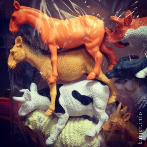 Фотохроника декабря—2013. Слуцк