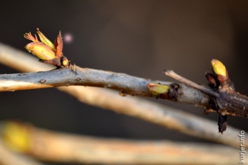 Фотохроника декабря—2013. Слуцк