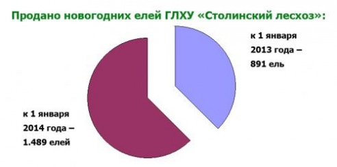 Около полторы тысячи елей продано Столинским лесхозом к новогодним праздникам