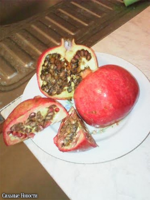 Фотофакт: в речицком «Евроопте» гомельчанину продали прогнившие гранаты