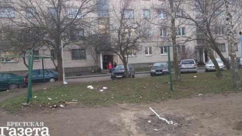 В Бресте во дворе дома №28 по ул. Вишневой «прописалась» мусорная свалка, но коммунальщики не видят в том своей вины