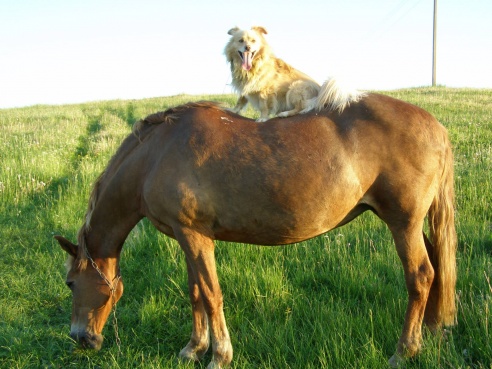 “Я нарэшце адчула сябе запатрабаванай”