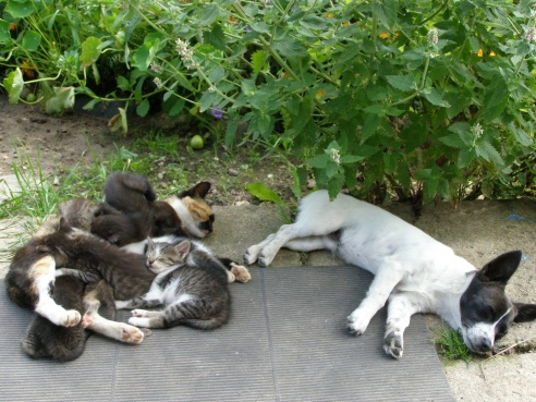 “Я нарэшце адчула сябе запатрабаванай”