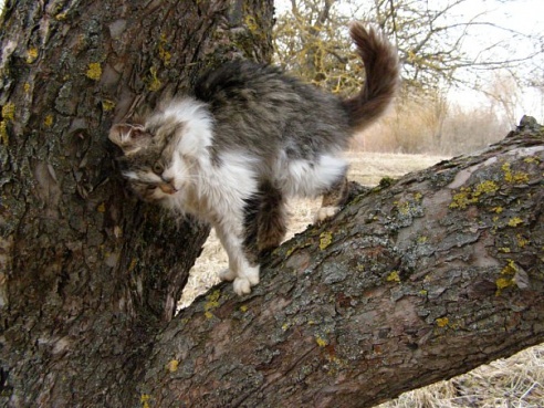 “Я нарэшце адчула сябе запатрабаванай”