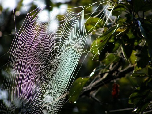 “Я нарэшце адчула сябе запатрабаванай”