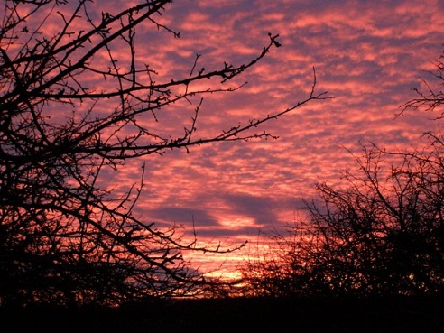 “Я нарэшце адчула сябе запатрабаванай”
