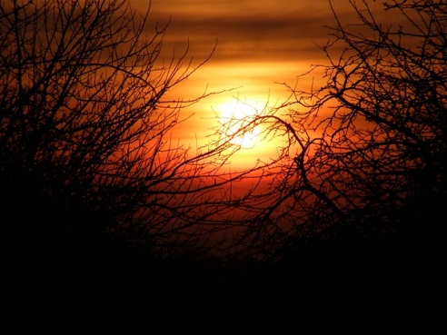 “Я нарэшце адчула сябе запатрабаванай”